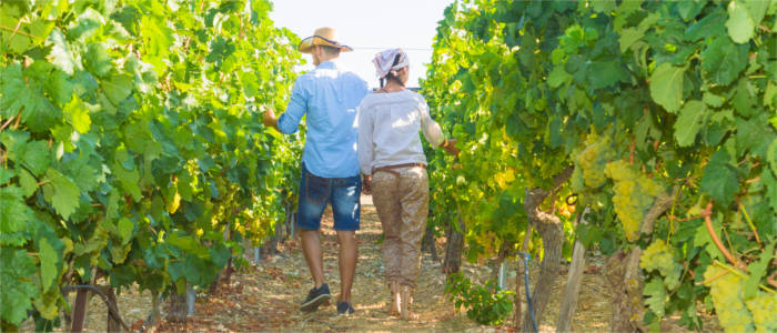 Couple in the Barossa Valley