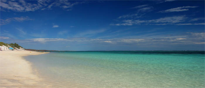 Reef at the Coral Coast