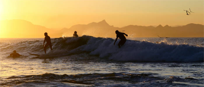 Surfers at Byron Bay