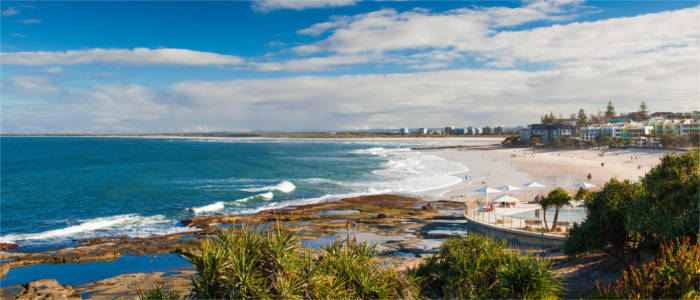 Beach at the Sunshine Coast