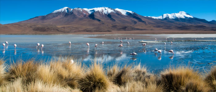 Blue lagoon in Bolivia