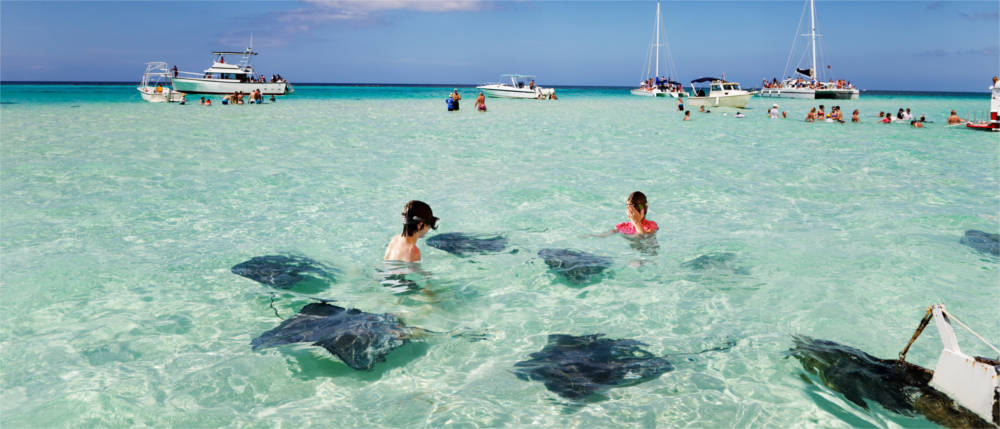 Tame stingrays at Stingray City