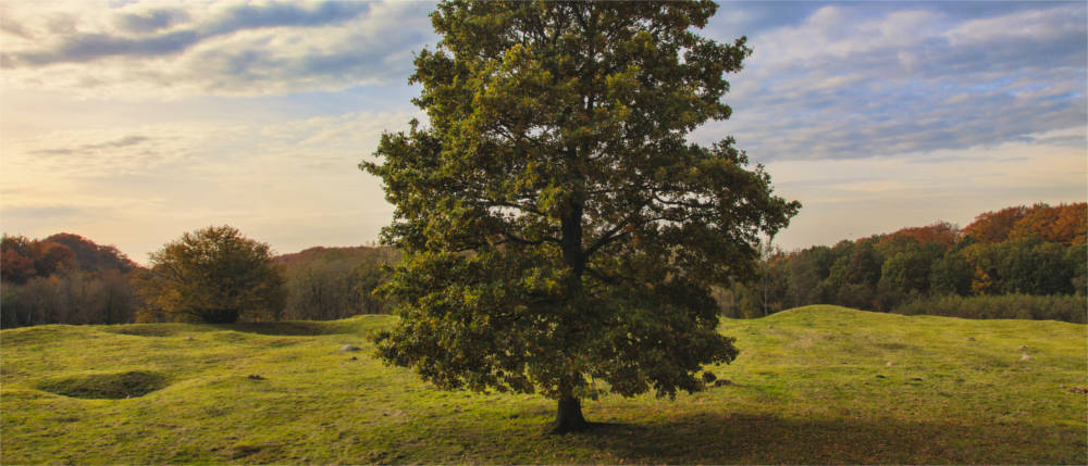 Landscape on Funen