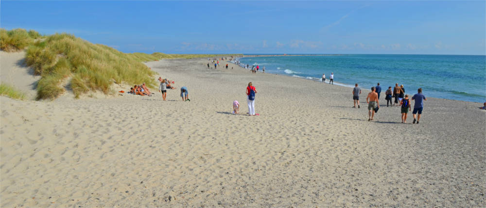 Sandy beach in North Jutland